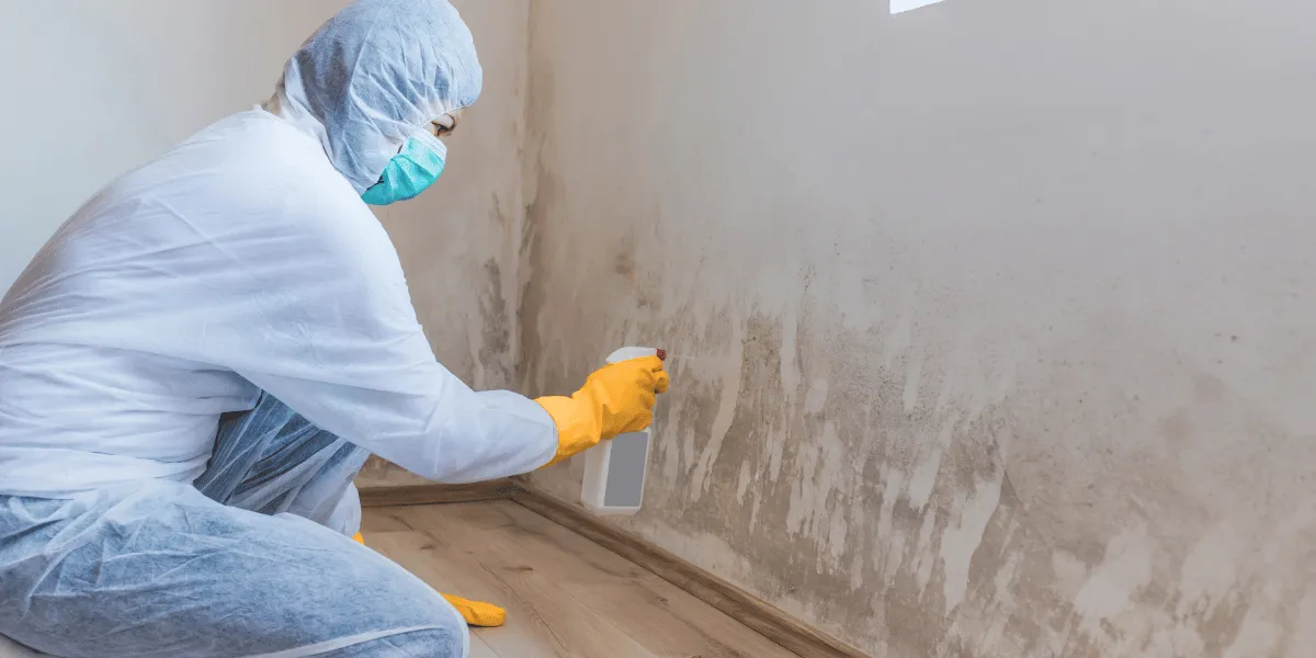 After restoration complete in Red Devil - Basement Storm Runoff & Mold Remediation